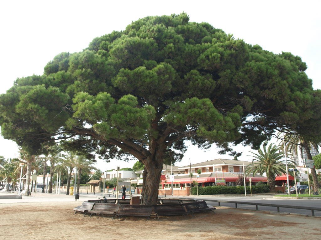 Apartaments Geminis Cambrils Chambre photo